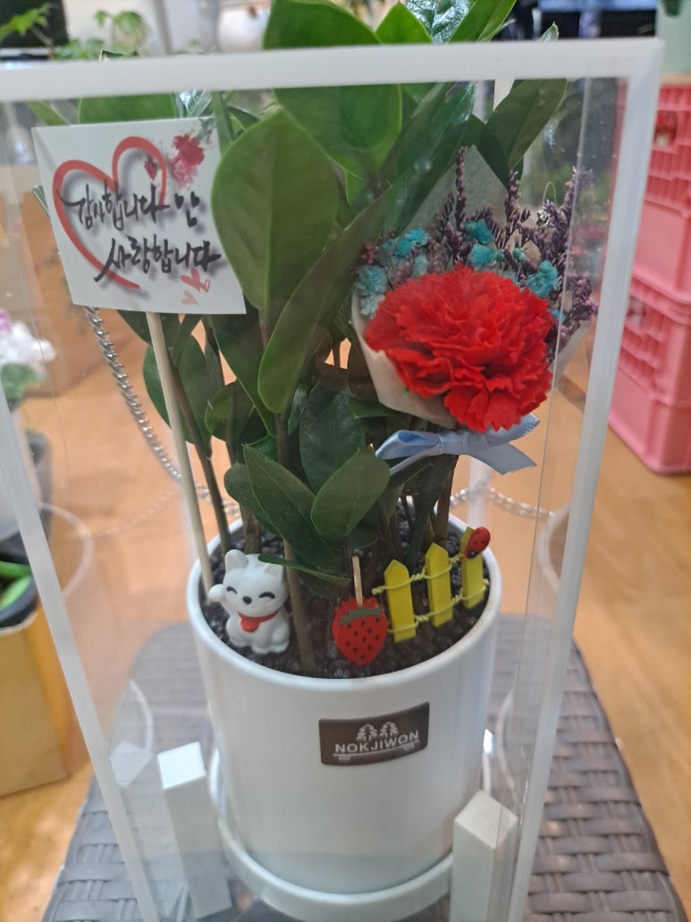 쩡아네정원 이미지