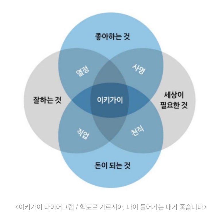 이키가이 이미지
