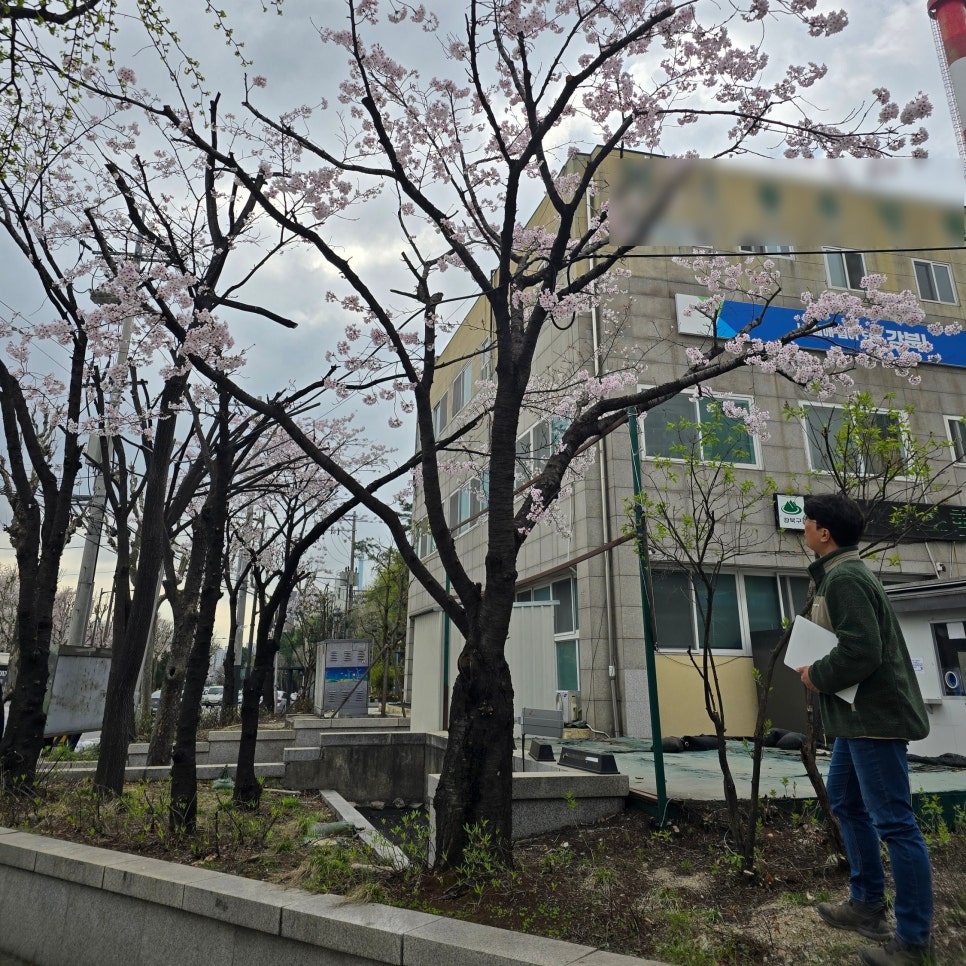 세이브트리엑스퍼트 이미지