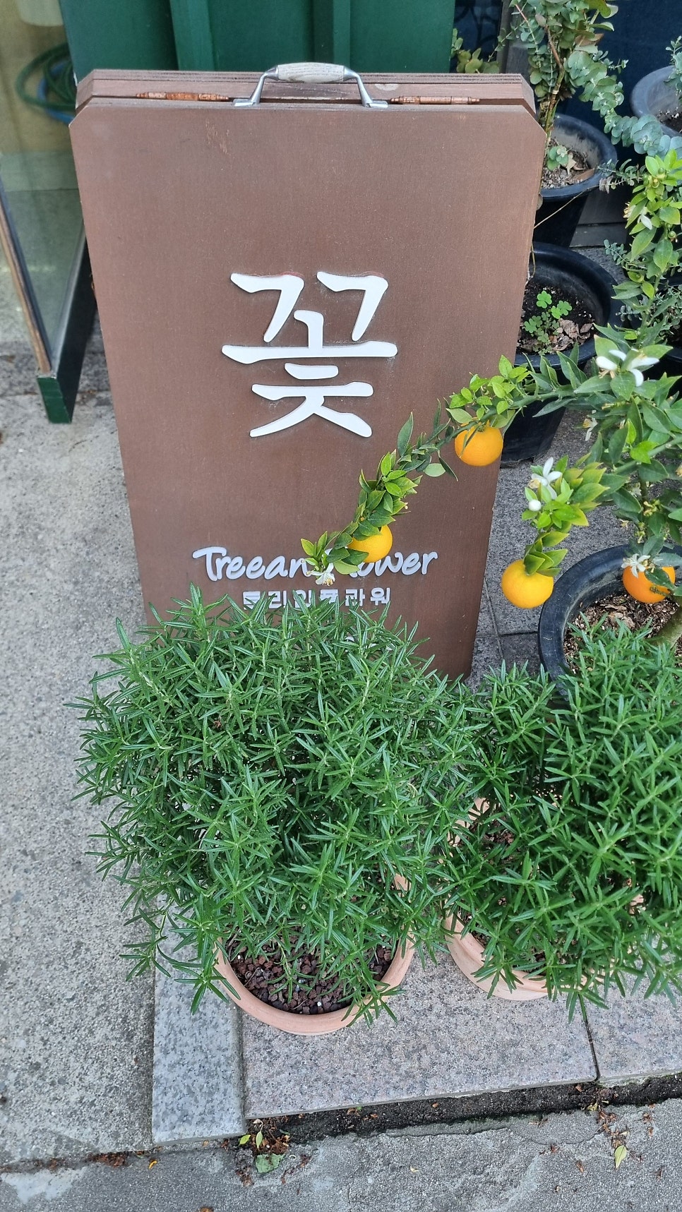 트리안꽃집 이미지