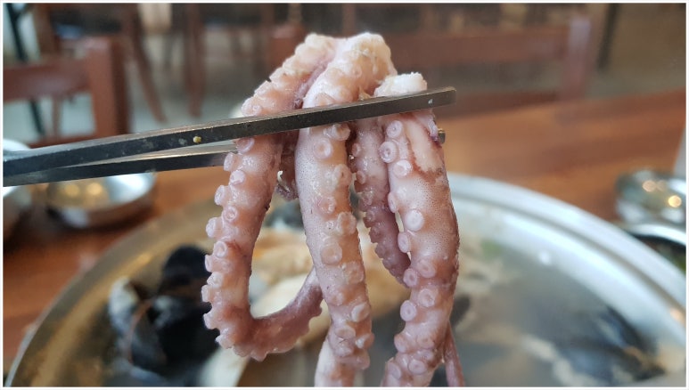 면사랑칼국수 이미지