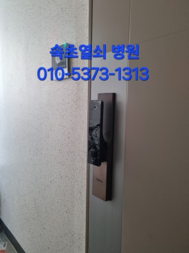속초B2B 이미지