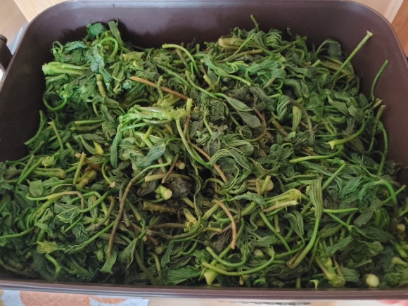 순떡 이미지
