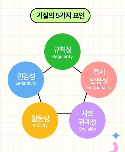 기질아카데미 이미지