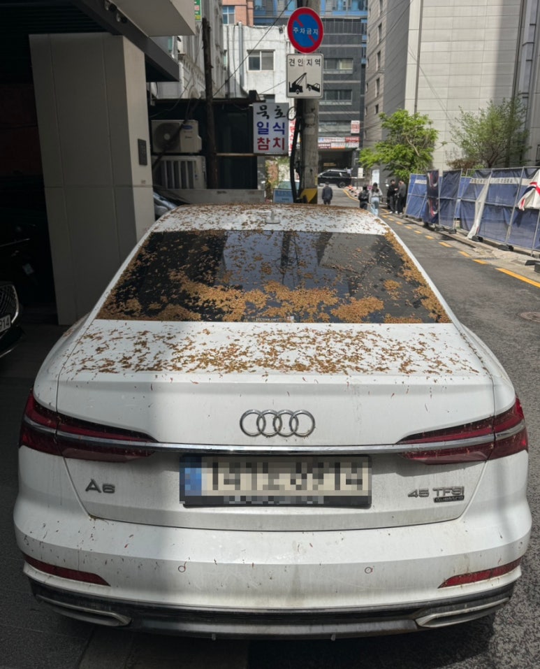 워시나인강남 이미지