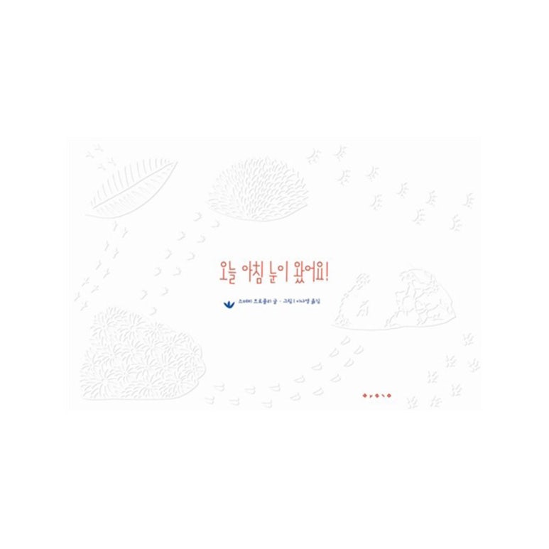 보림콜렉션 이미지