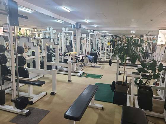 헬스라이프 이미지