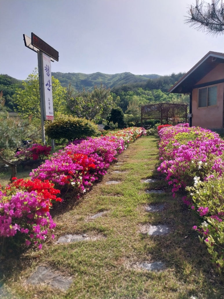 청산노래방 이미지