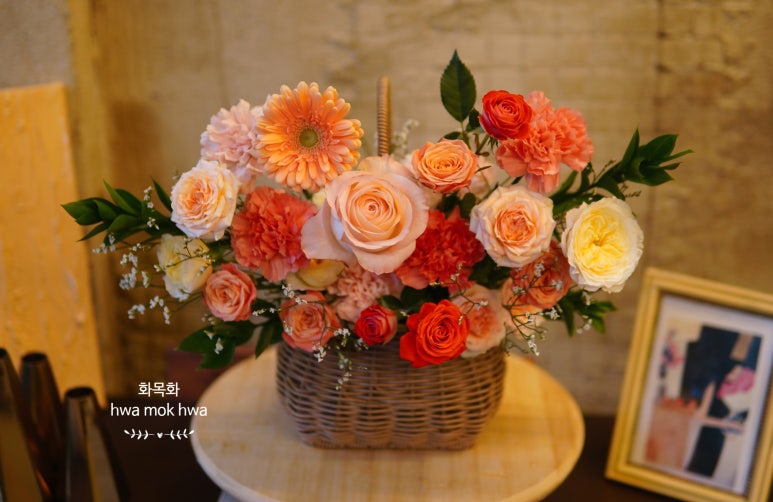 화목화 이미지