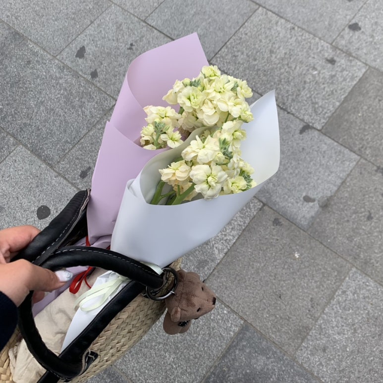 스위트드림플라워 이미지