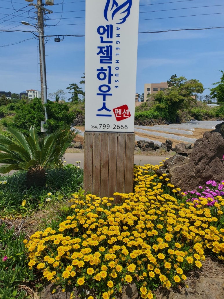 엔젤하우스 이미지