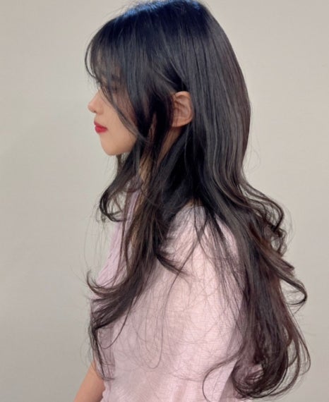 하우헤어 이미지