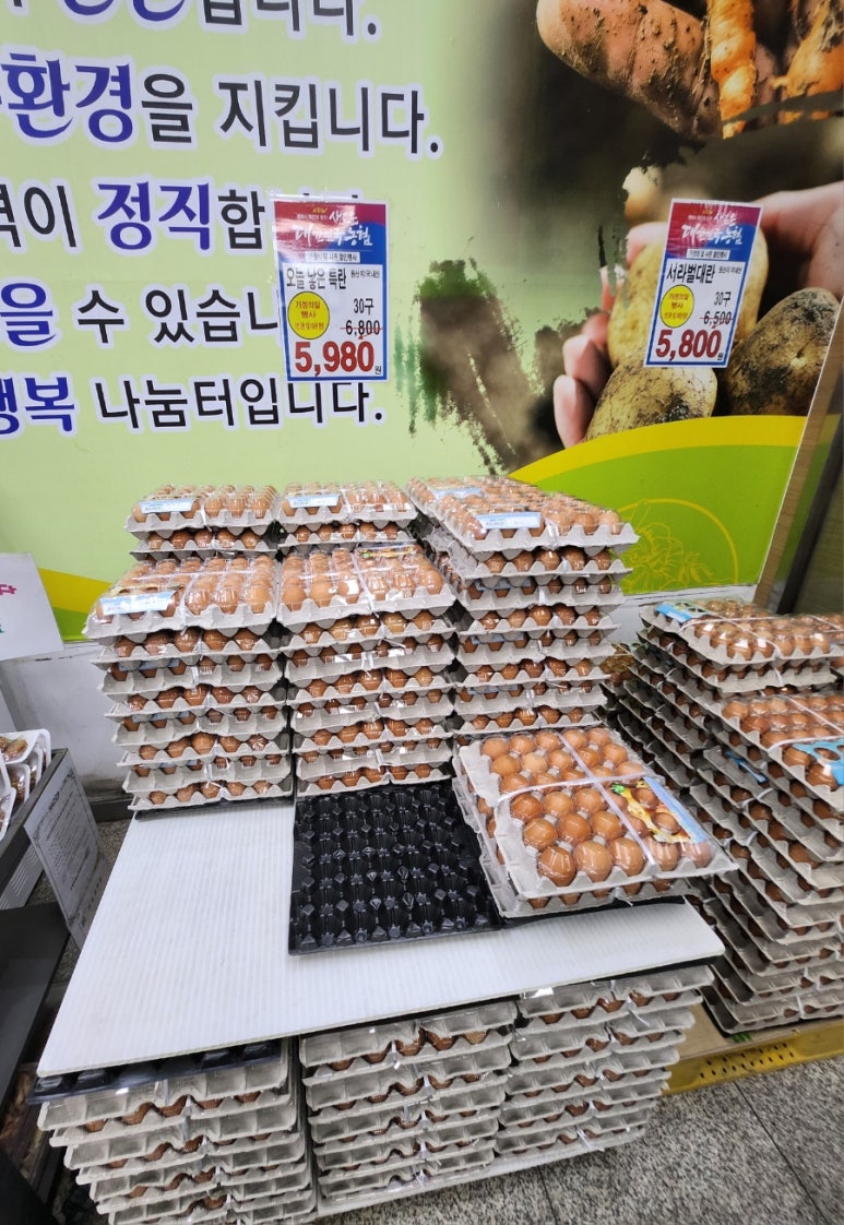 늘찬계란 이미지