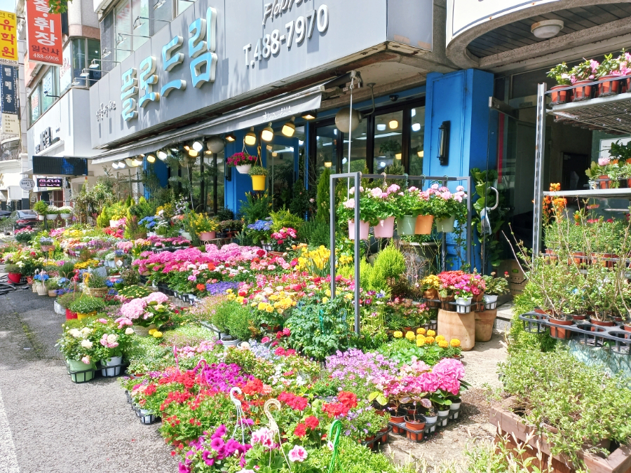 플로드림 이미지