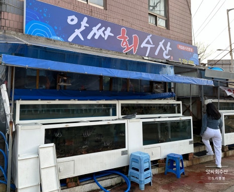 앗싸회수산 이미지