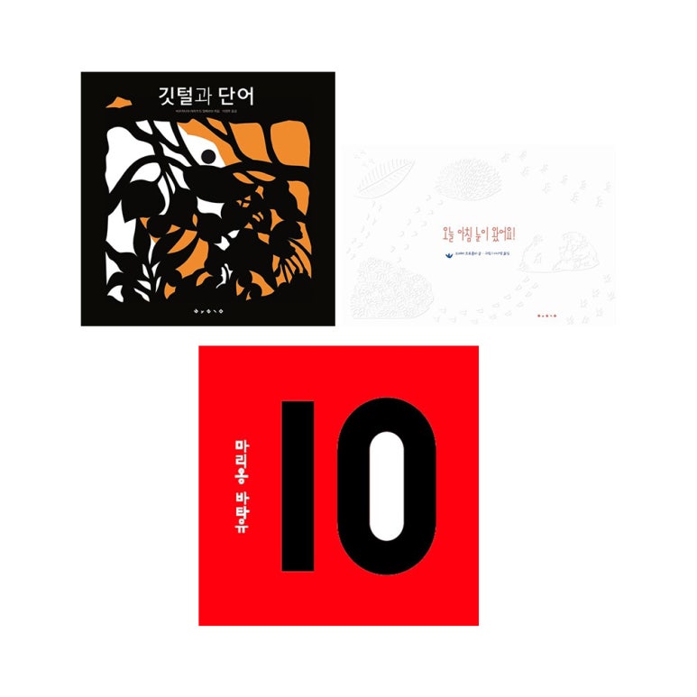 보림콜렉션 이미지