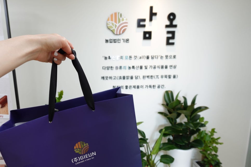 담올 이미지
