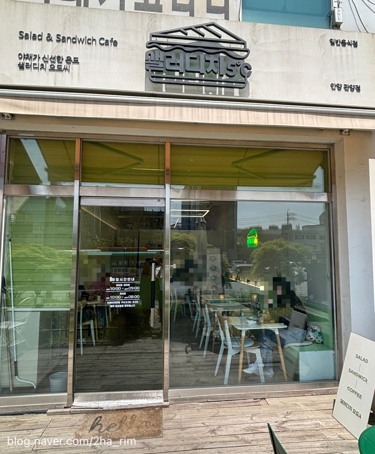 샐러디치오도씨 이미지