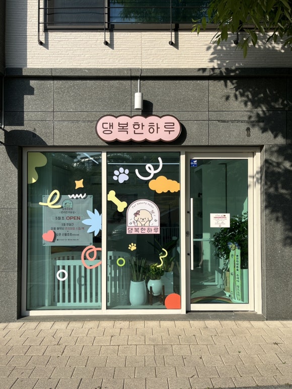 댕복한하루 이미지