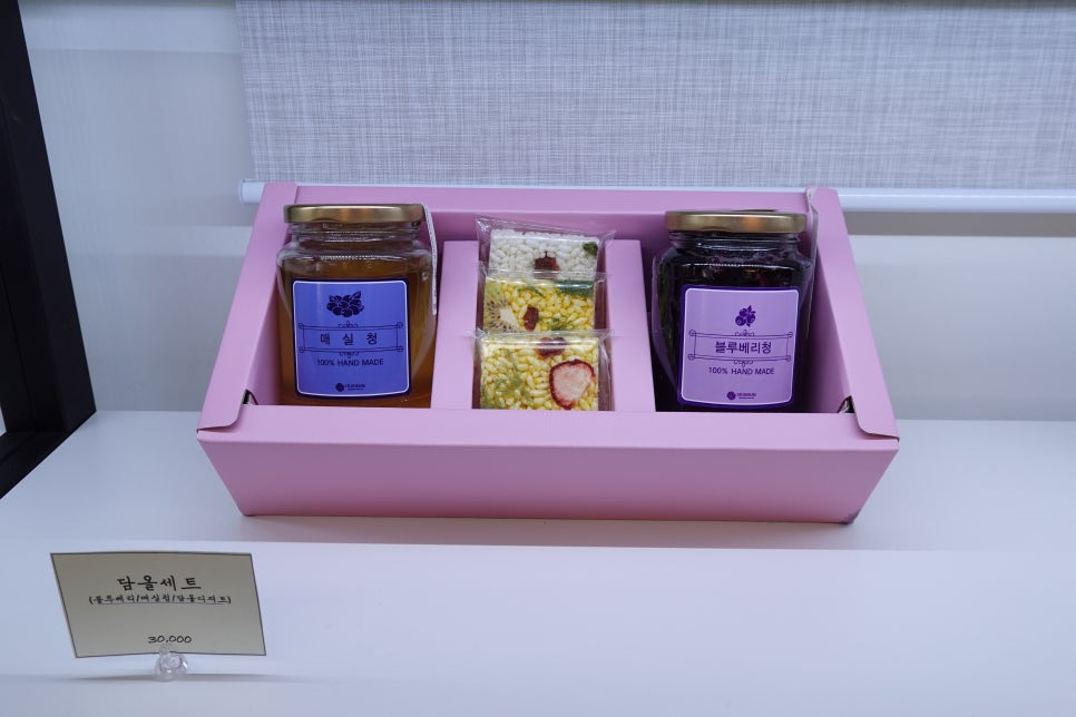 담올 이미지