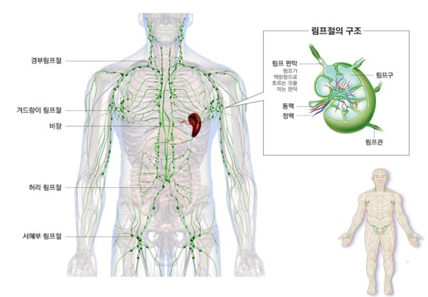 신진상수도 이미지