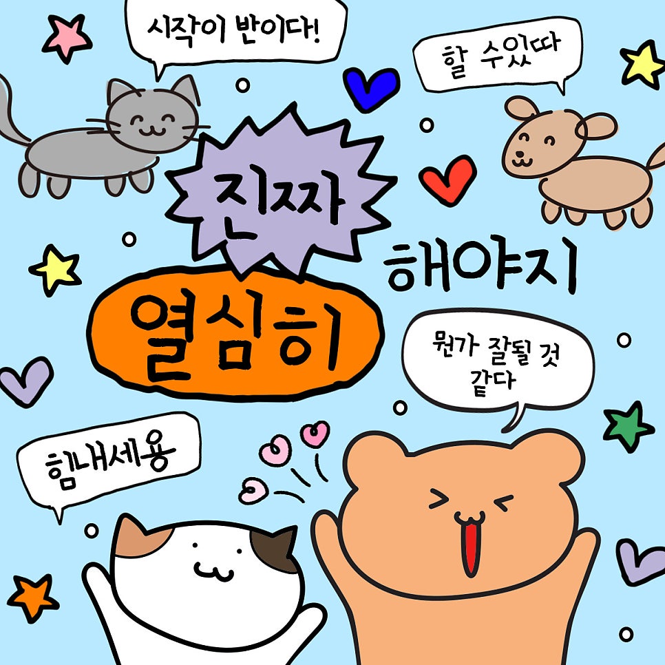 라인자동차용품점 이미지