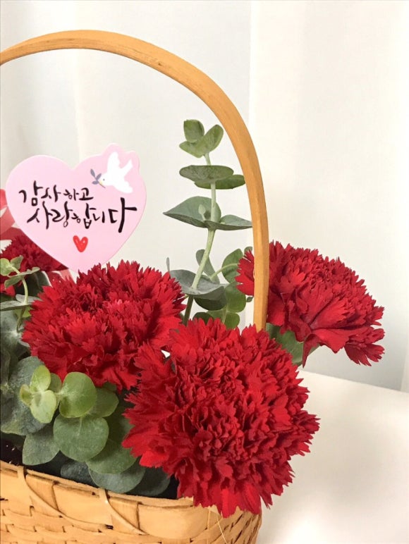꽃핀들 이미지