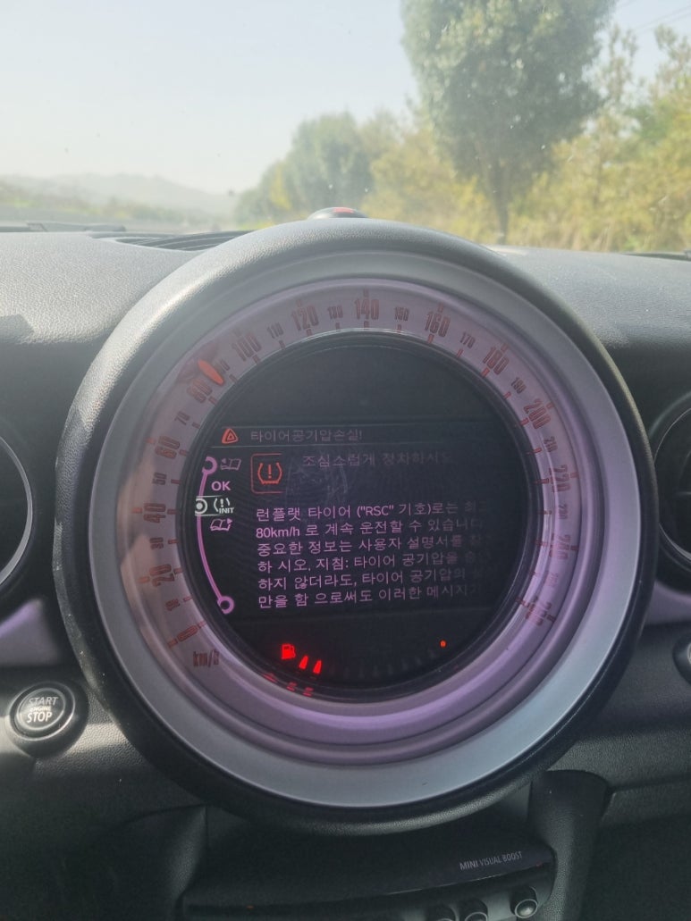 전라카센타 이미지