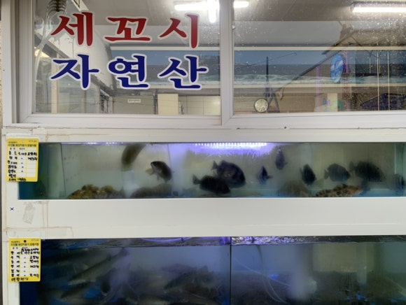 밀양시장횟집 이미지