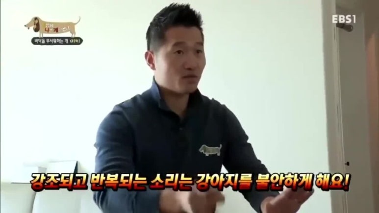 거제시집 이미지