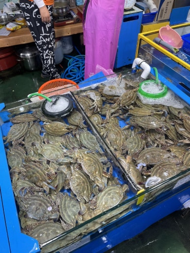 보라수산 이미지