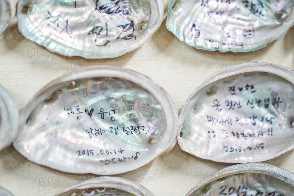 남해전복 이미지