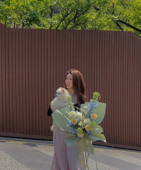 라플레르수 이미지
