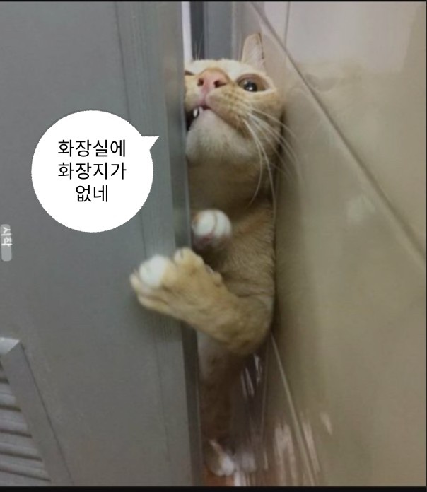 키텐 이미지