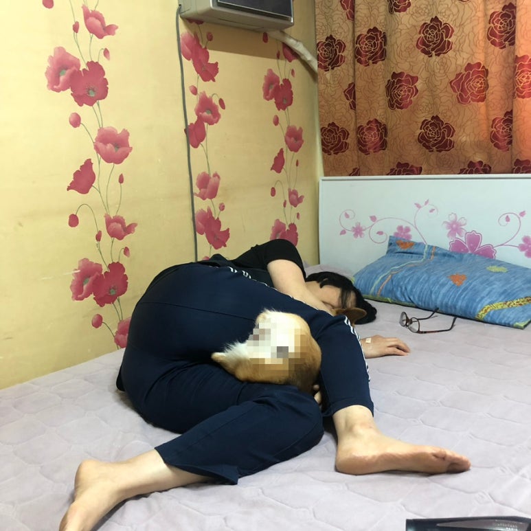코샤네일 이미지