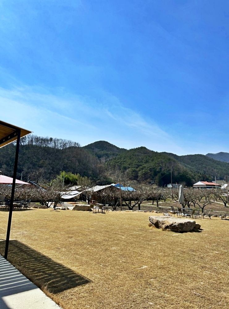 빵동산 이미지