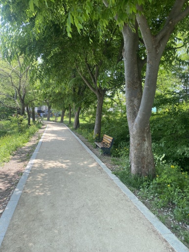 시루온플라워 이미지