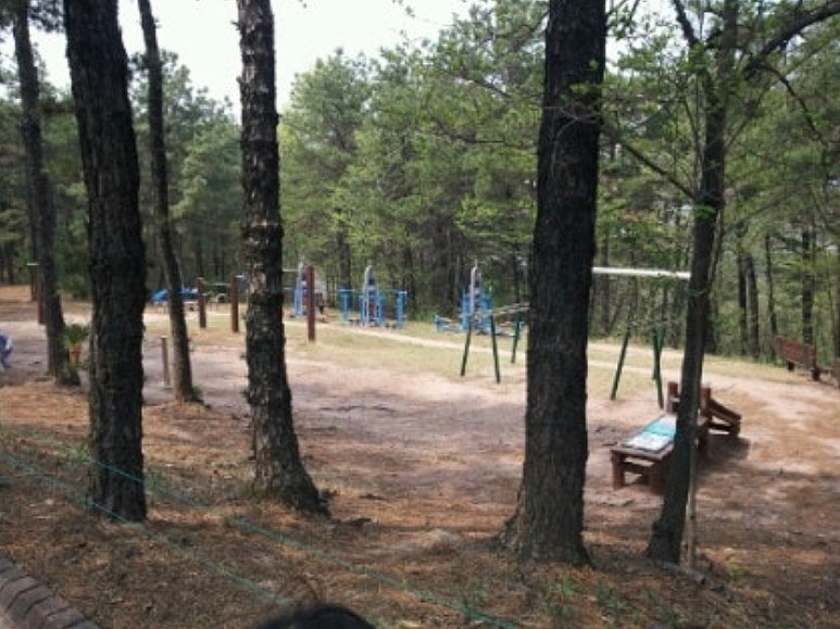 태전공원 이미지