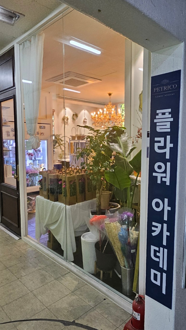 페트리코플라워 이미지