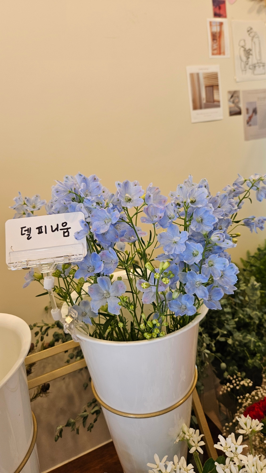 너는;꽃 이미지