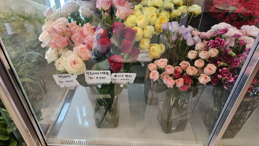 너는;꽃 이미지