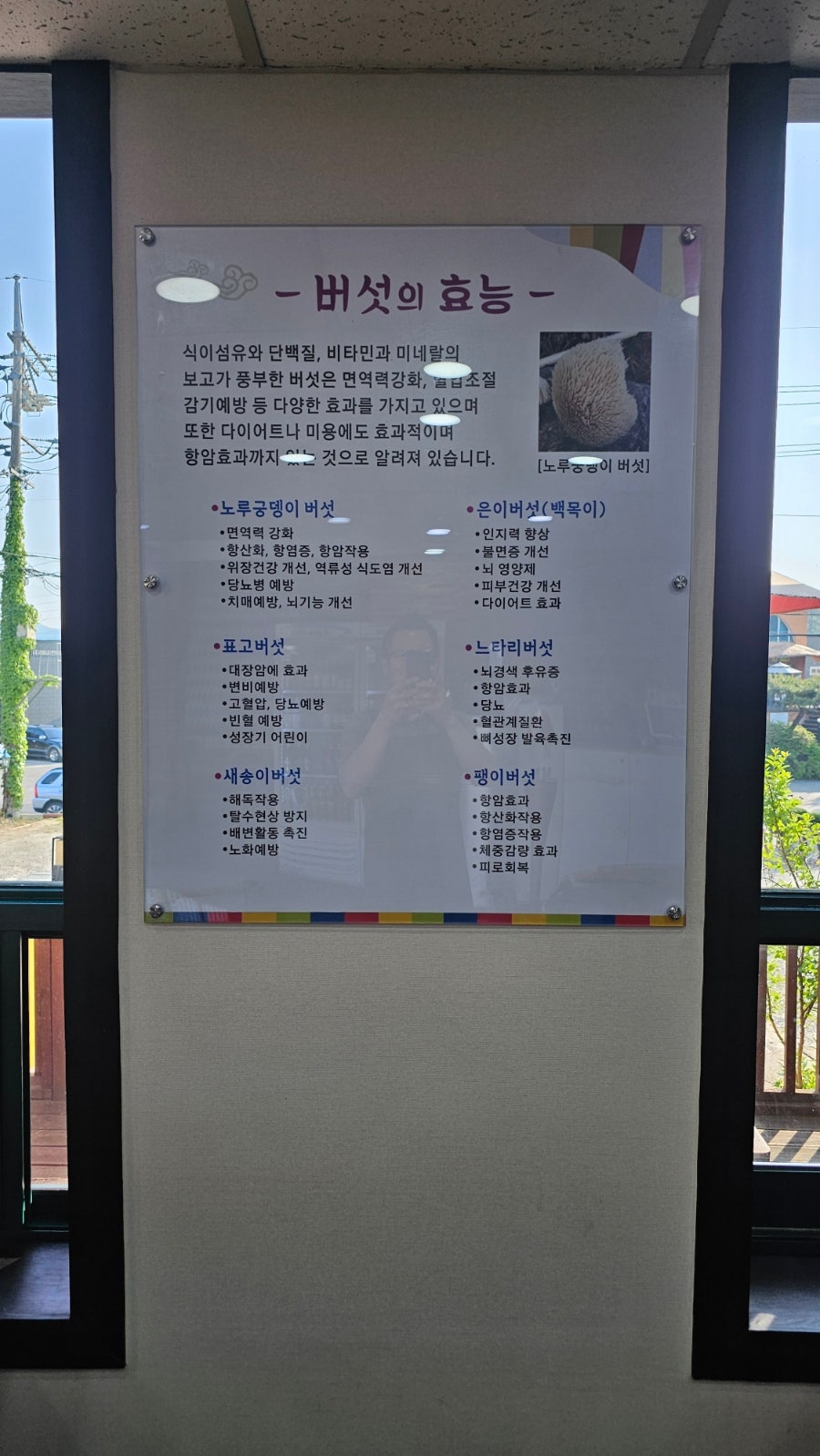 소랑버섯 이미지