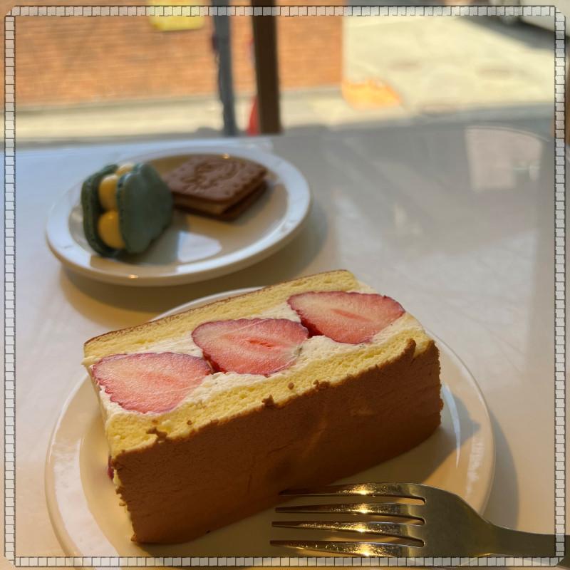 치카성수 이미지