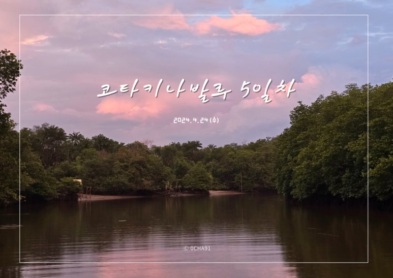 영차투어 이미지