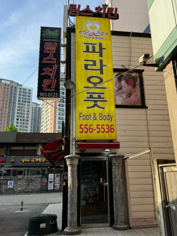 파라오풋 이미지