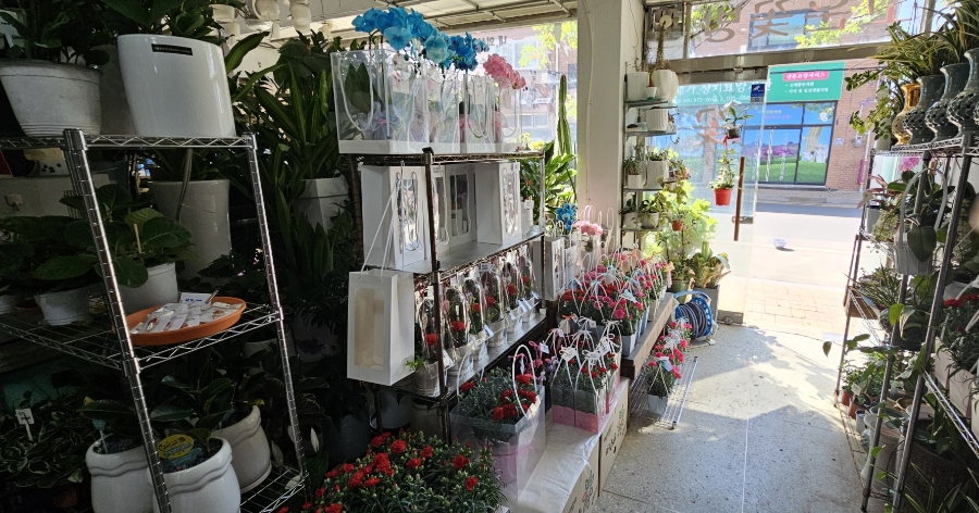 산청꽃집 이미지