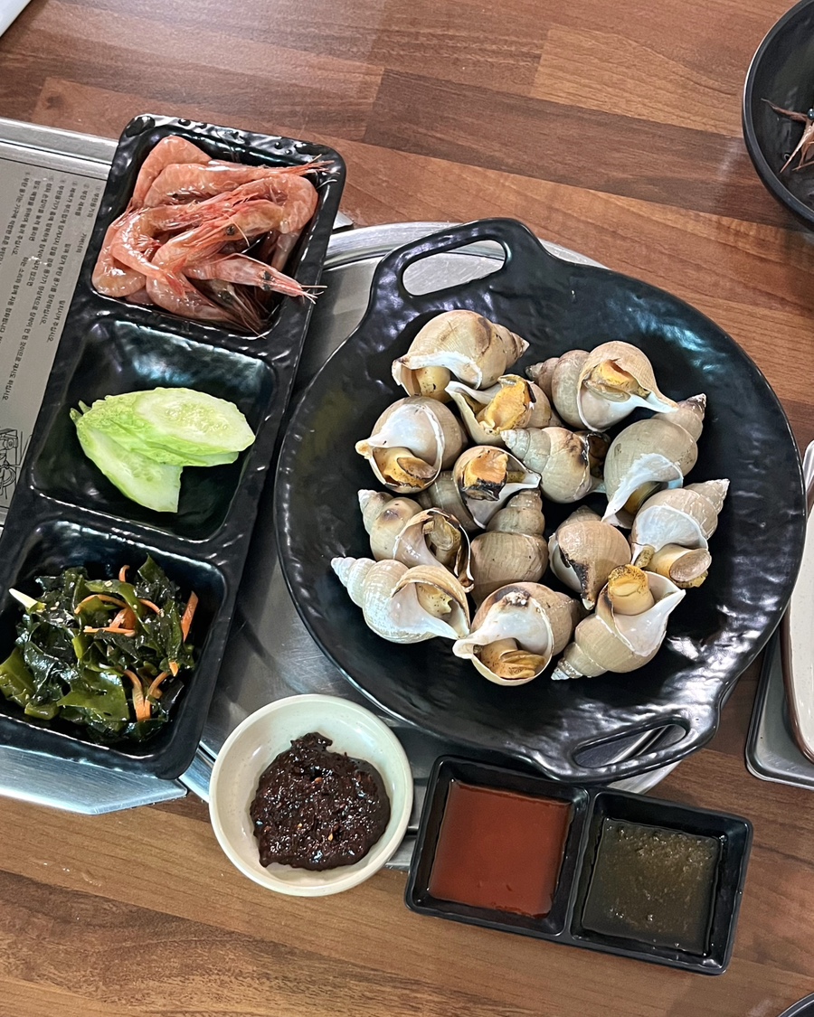 술푸마 이미지