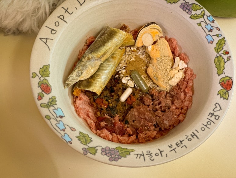 버틀럽 이미지