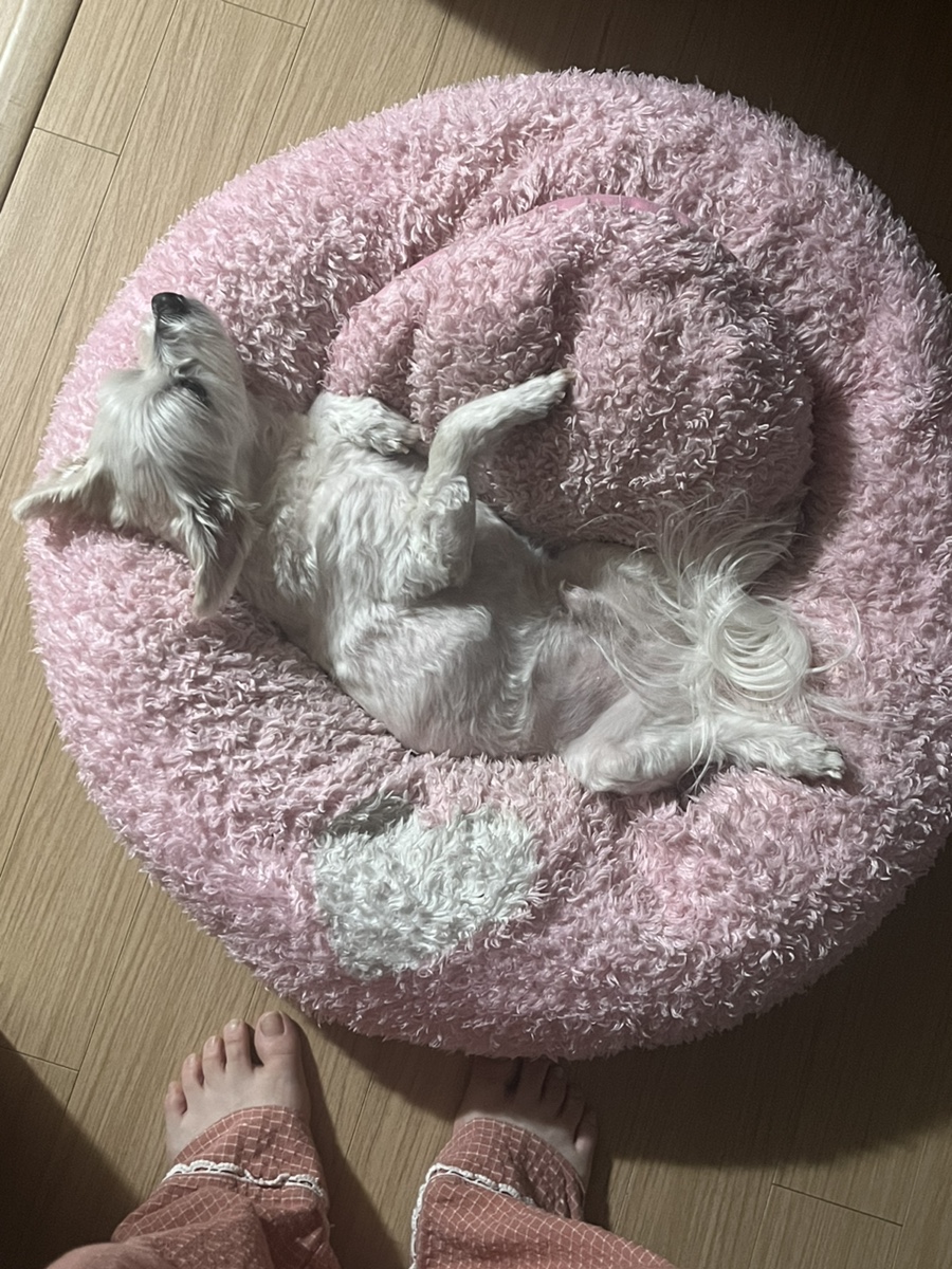 카페요아정김포라베니체점 이미지