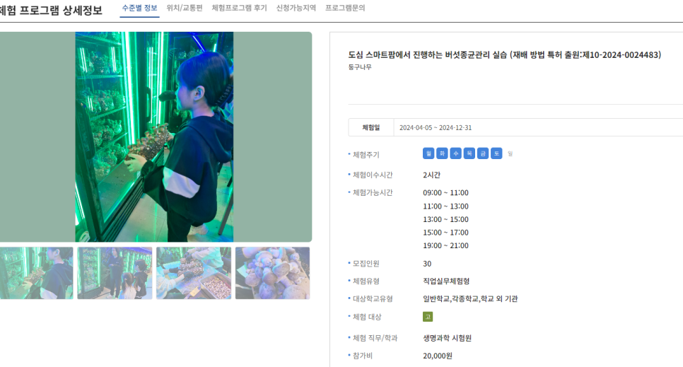 법인둥구나무 이미지